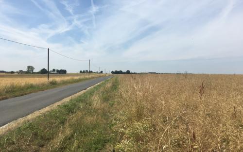 Onderweg naar Authon