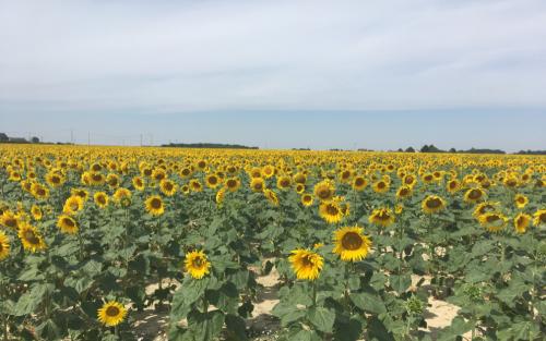 Onderweg naar Authon
