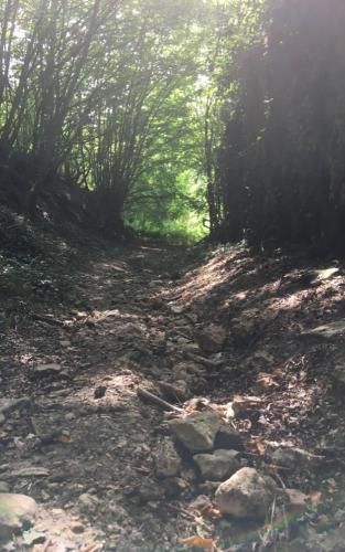Meestal offroad