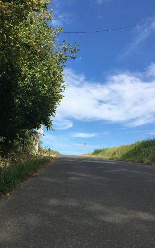 Onderweg naar Artigny