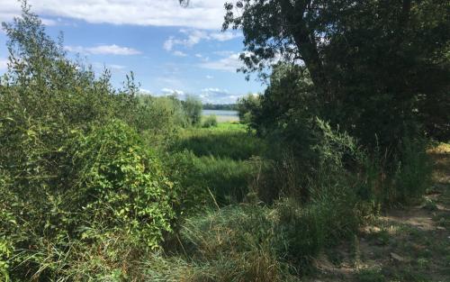 Onderweg naar Candé-sur-Beuvron