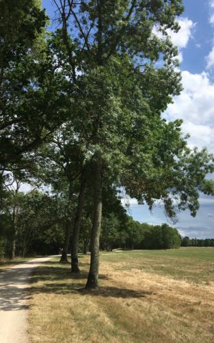 Onderweg naar Candé-sur-Beuvron
