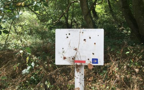 Onderweg op de Camino bij Baule