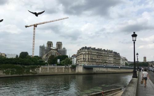 20210619-Paris-Notre-Dame-en-cours-de-restauration