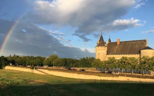 Het kasteel van Sully-sur-Loire