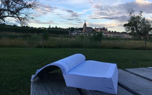 Nog even lezen op de camping in Gien