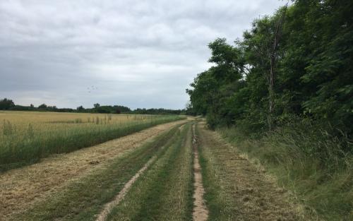 Richting Bonny-sur-Loire