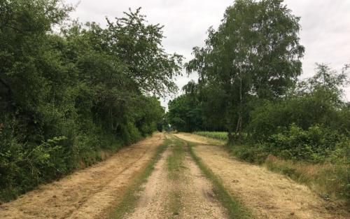 Richting Bonny-sur-Loire