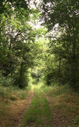 Richting Saint-Firmin-sur-Loire