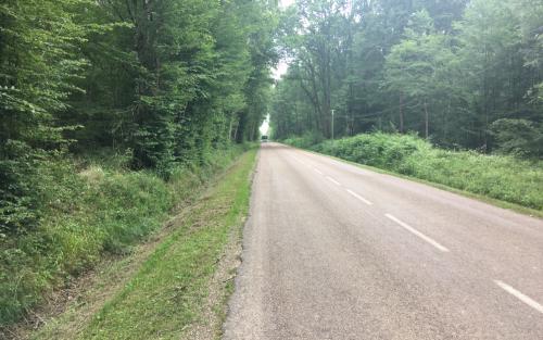 En na de teleurstelling was het nog saai ook op de D485