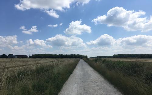 Lange, rechte paden vanaf Bonny-sur-Loire