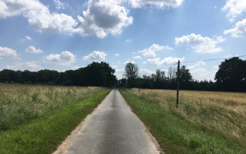 Lange, rechte wegen vanaf Bonny-sur-Loire