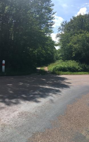 20210626-Bij-Etang-de-Chassin-naar-links