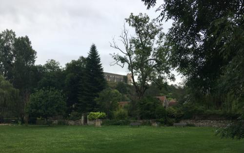 20210626-Chateau-Fort-de-Druyes-1