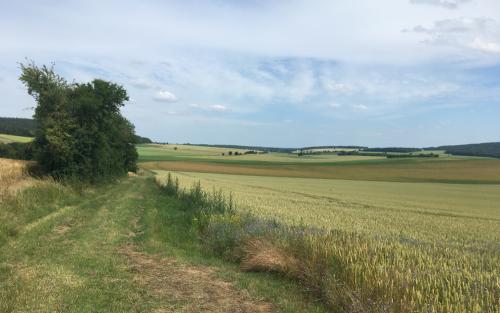 20210626-En-weer-verder-naar-de-D3