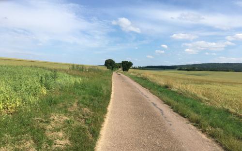20210626-In-de-richting-van-Sougeres-en-Puisaye