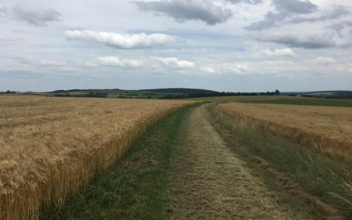 20210626-In-the-middle-of-nowhere-voorbij-Sainte-Colombe