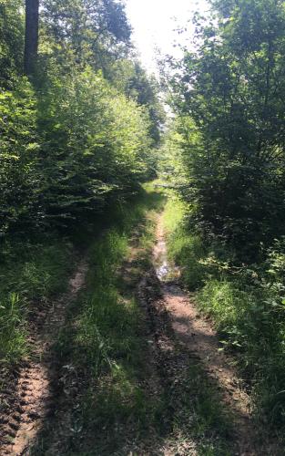 20210626-Les-Cagnats