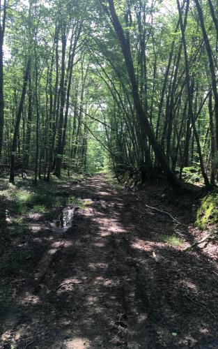 20210626-Les-Veillats-1