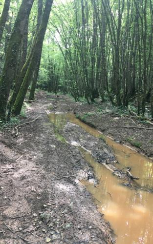 20210626-Les-Veillats-2