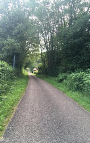 20210626-Net-onderweg