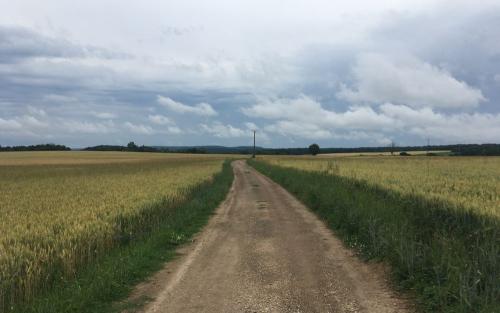 Richting Licheres-sur-Yonne