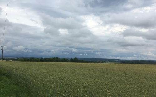 Voorbij Licheres-sur-Yonne
