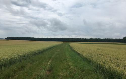 Voorbij Surgy