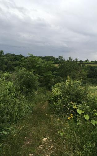 Terug naar Saint-Père-sous-Vézelay