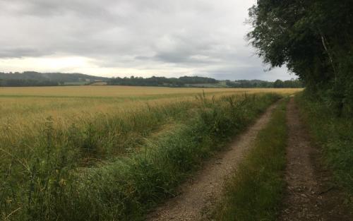 Net onderweg vanaf Saint-Père-sous-Vézelay