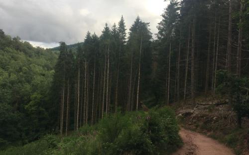 Onderweg naar Pauguichard