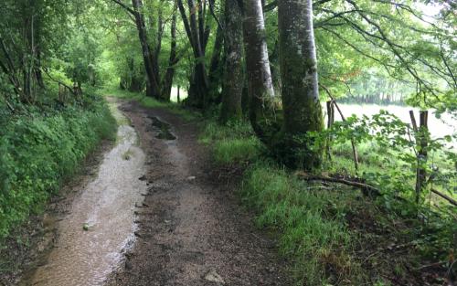 Onderweg naar Beau-Rivage