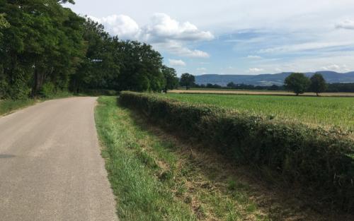 Petit-Marigny