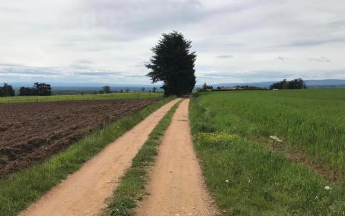 En aan de paden die door dun bevolkt gebied lopen heb ik ook geen hekel, mits ik maar uitzicht heb