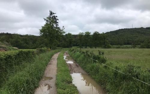 Volgens de borden kon ik dit pad niet bewandelen maar meer omlopen zat er niet in (en het obstakel bleek een gammele brug waar ik gewoon overheen kon wandelen)