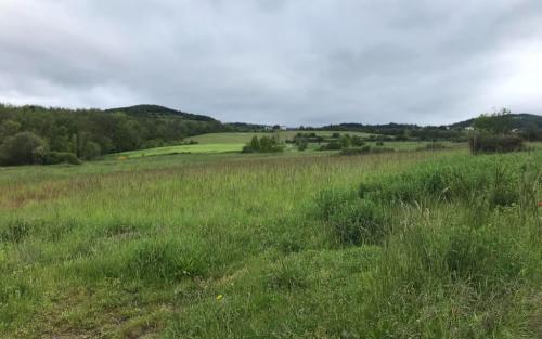 Door het dal en aan de overkant weer slingerend (best steil) omhoog