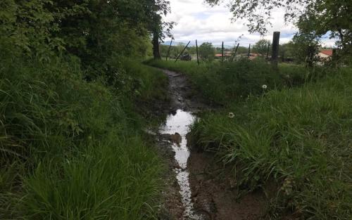 Maar het water staat er nog en is nog niet helemaal weg