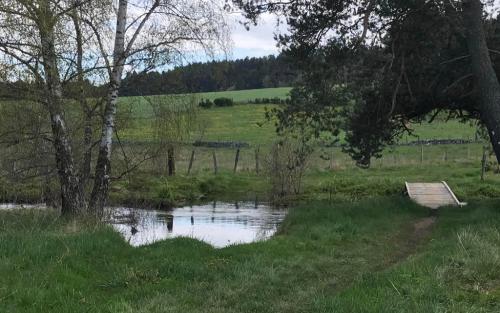 Gelukkig ligt er weer een houten bruggetje