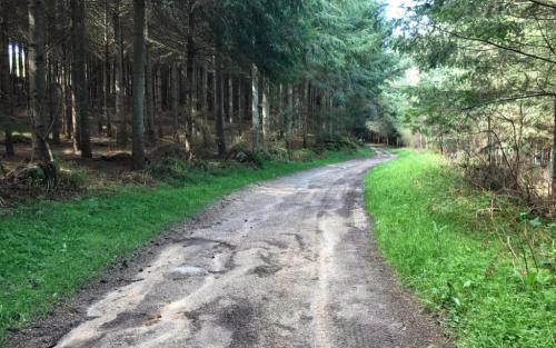 Door het bos
