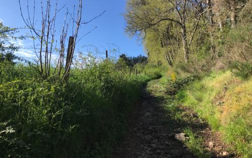 Nog nauwelijks onderweg gaat het alweer meteen flink omhoog