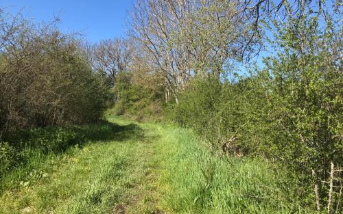 En van het spoor kwam ik via een weg weer op een bijna onzichtbaar pad